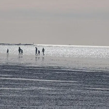Meerzeit Am Deich * Friedrichskoog