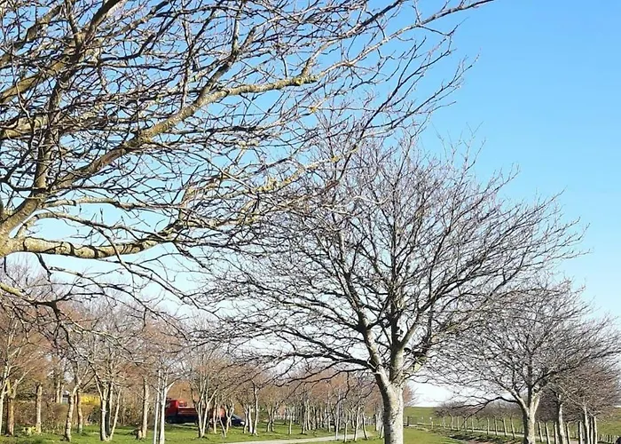 Lägenhet Meerzeit-am-deich Friedrichskoog
